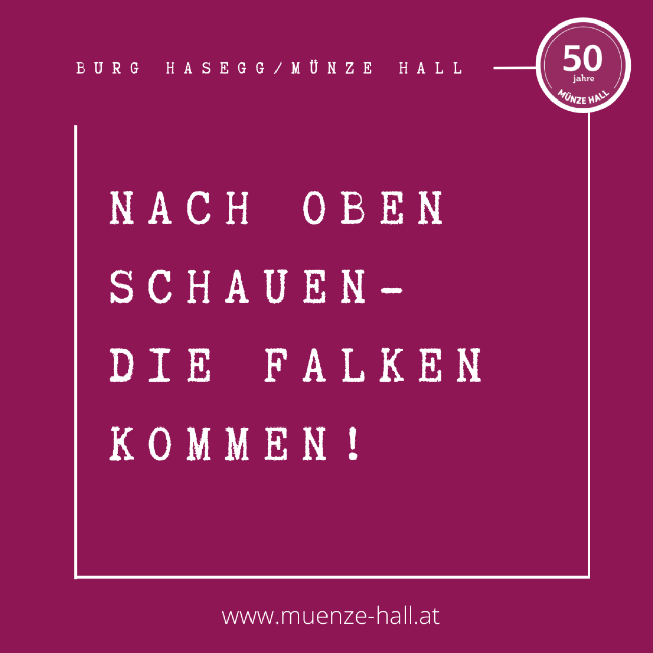 Turmfalken